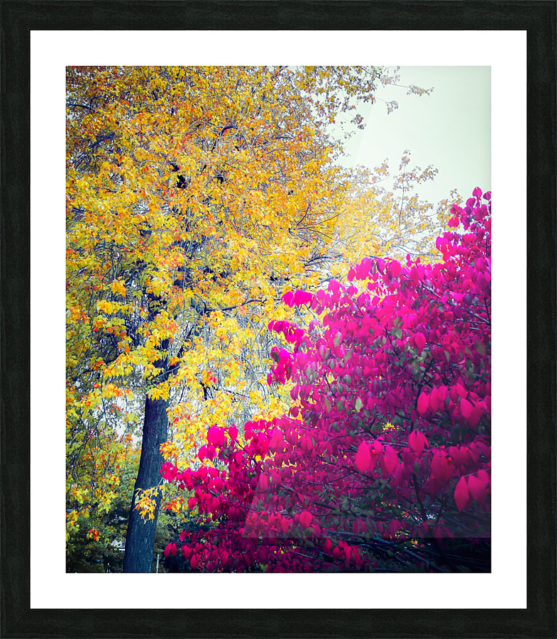 AUTUMN DREAM Picture Frame print