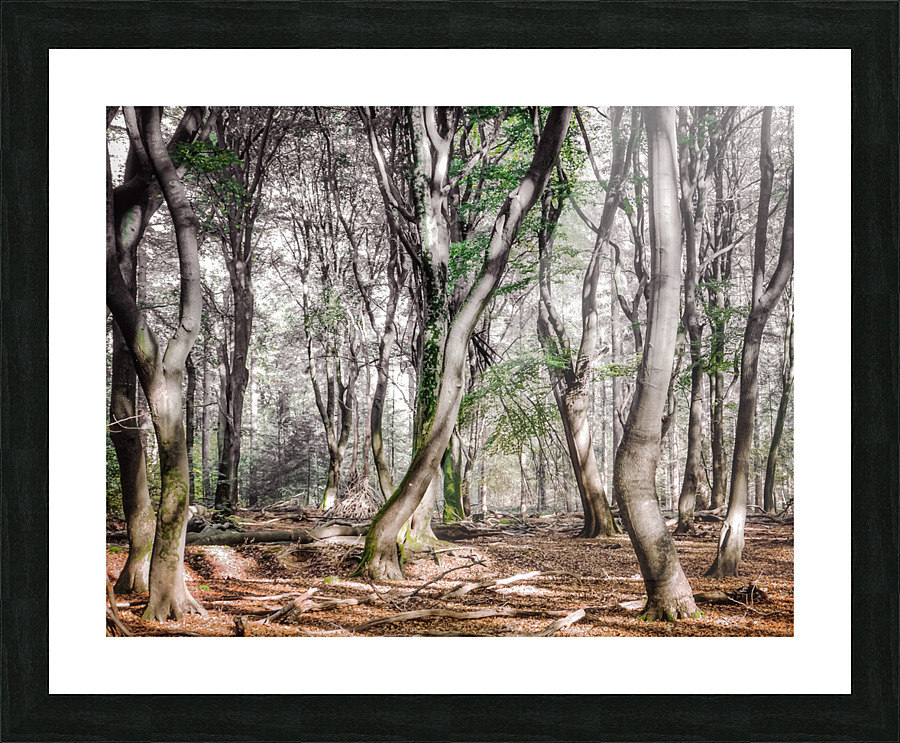 DANCING TREES I Picture Frame print