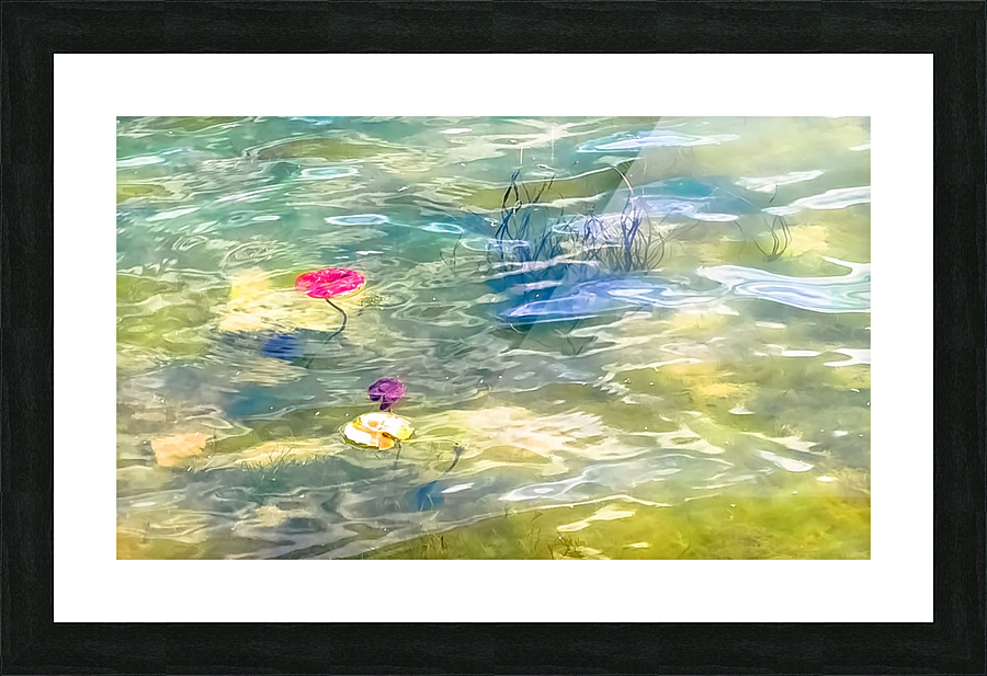 MONET Picture Frame print