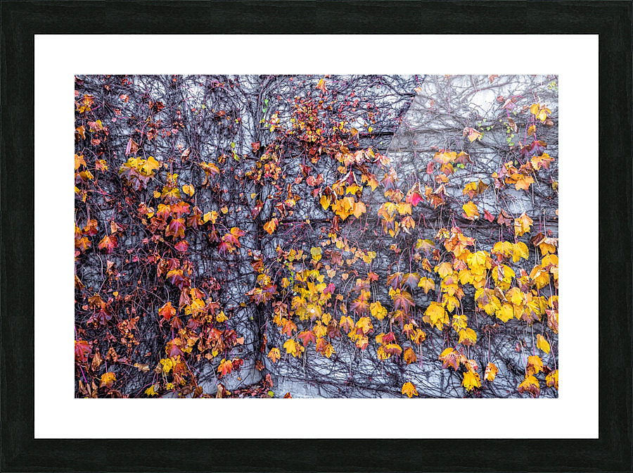 VINES & LIMESTONE Picture Frame print