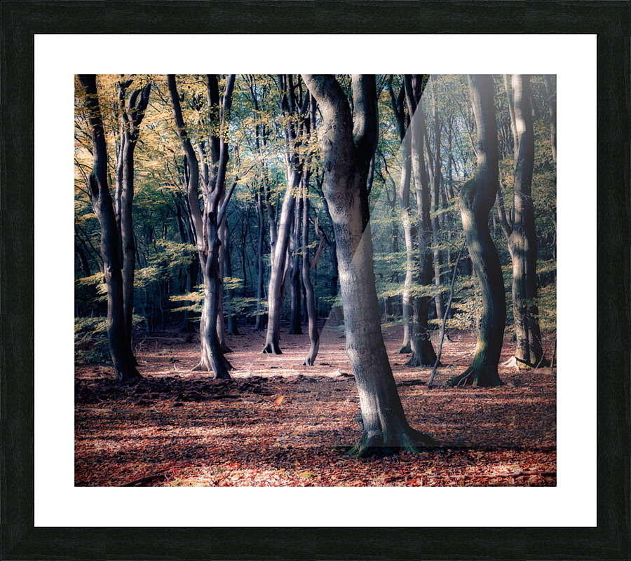 DANCING TREES III Picture Frame print