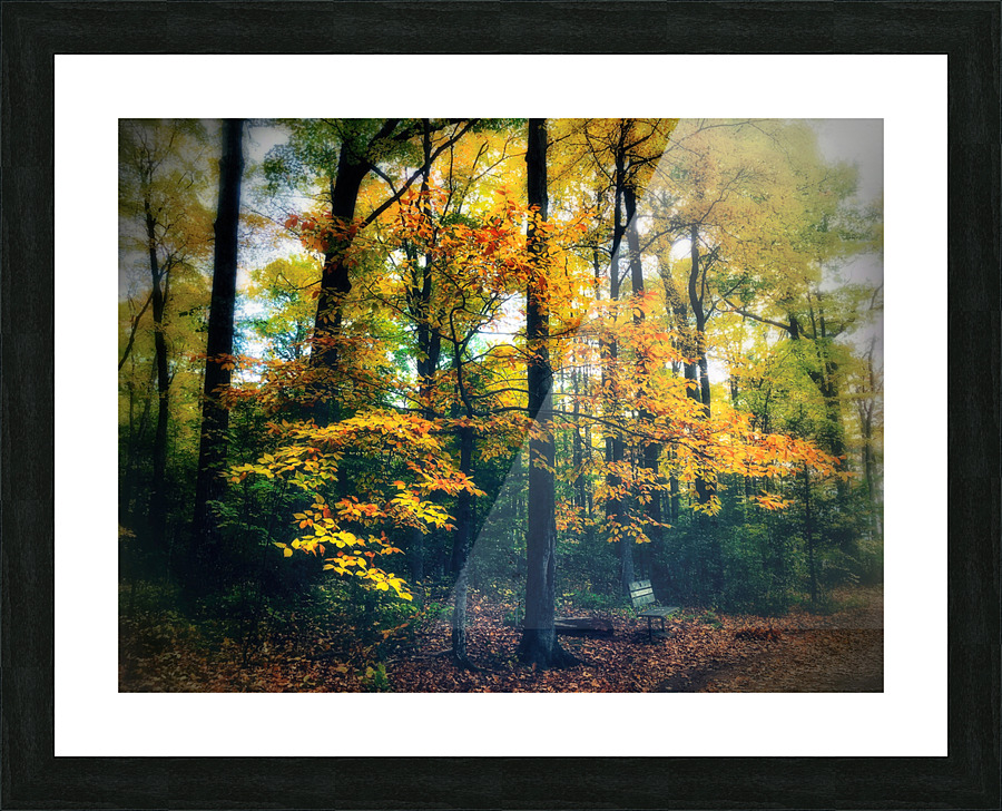 FALL COLOURS Picture Frame print