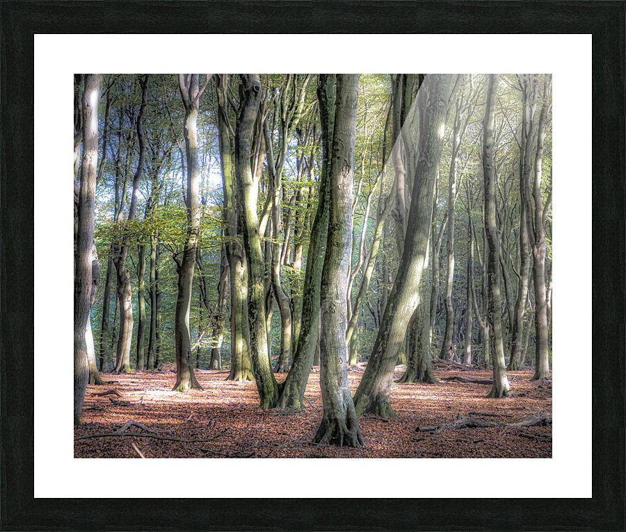 DANCING TREES II Picture Frame print