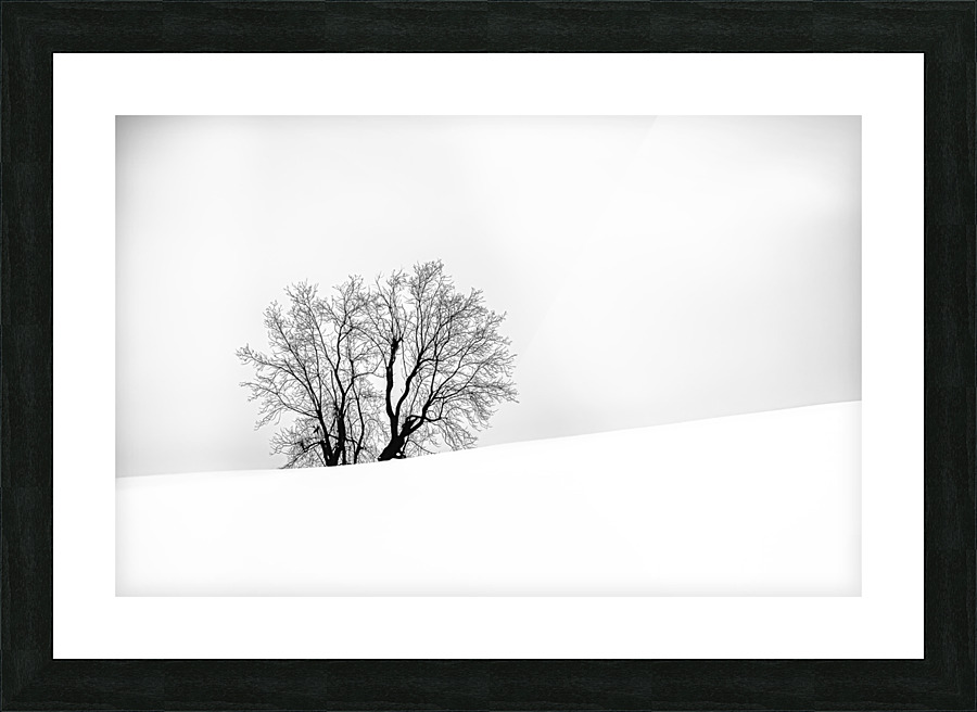 SOLITUDE I Picture Frame print