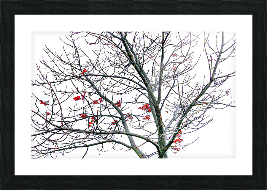 HANGING ON Picture Frame print