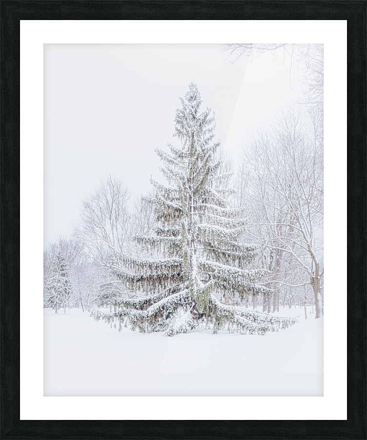 STANDING STRONG Picture Frame print