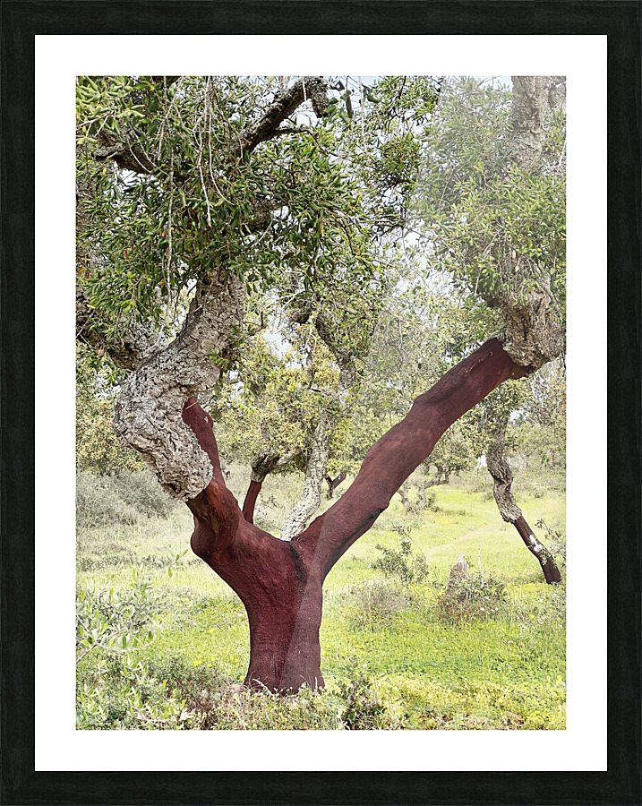 CORK OAK Picture Frame print