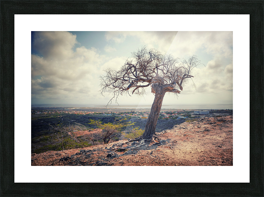 VISTA Picture Frame print