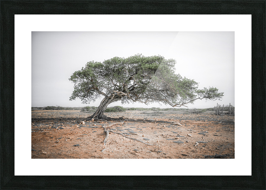 DIVI DIVI TREE Picture Frame print
