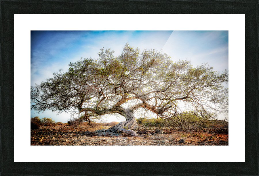 OLD WOOD Picture Frame print