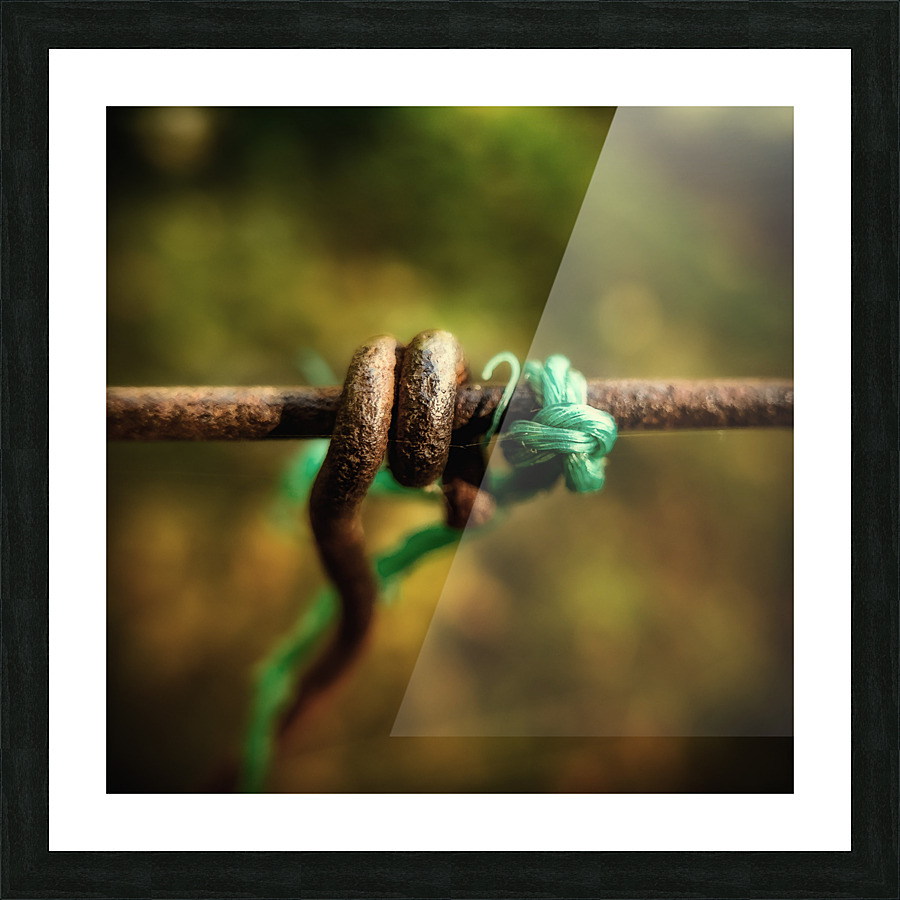 TIE THE KNOT Picture Frame print