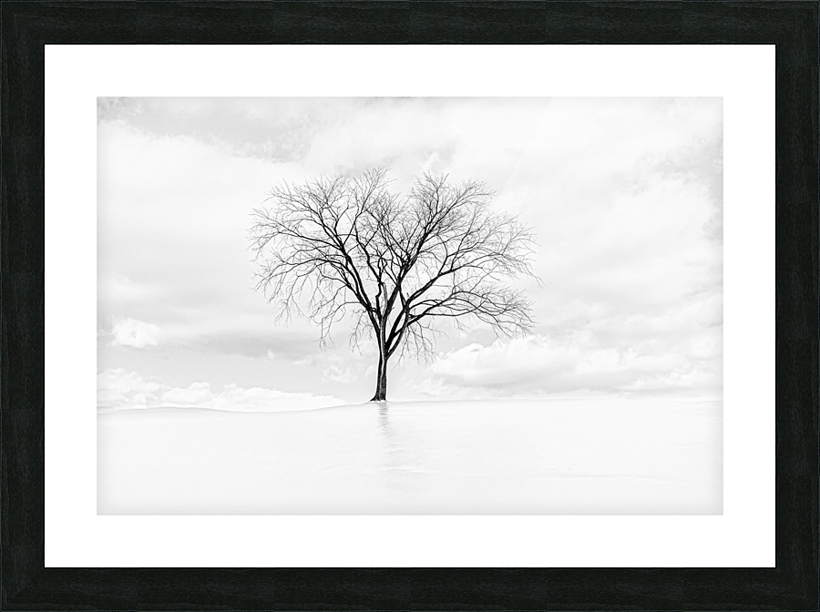  ICE TREE Picture Frame print