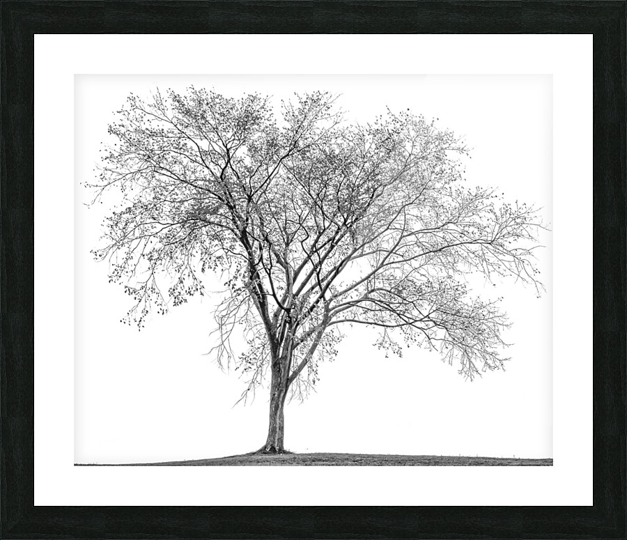  PROMISE TO SPRING Picture Frame print