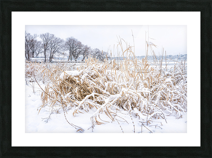  WINTER SCENE Picture Frame print