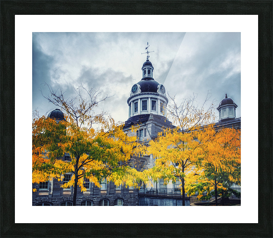 CITY HALL Picture Frame print
