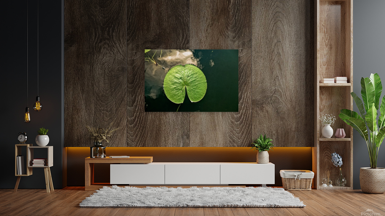 LILY PAD Reproduction