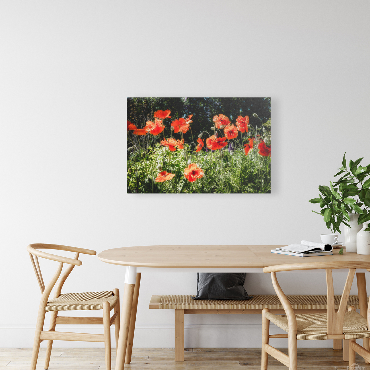 POPPIES Reproduction
