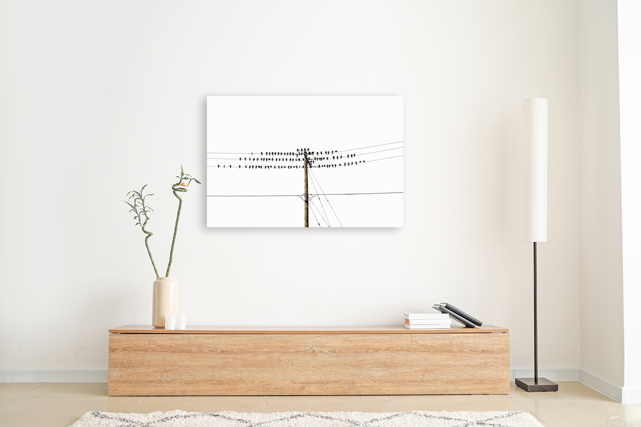 ON LINE Reproduction