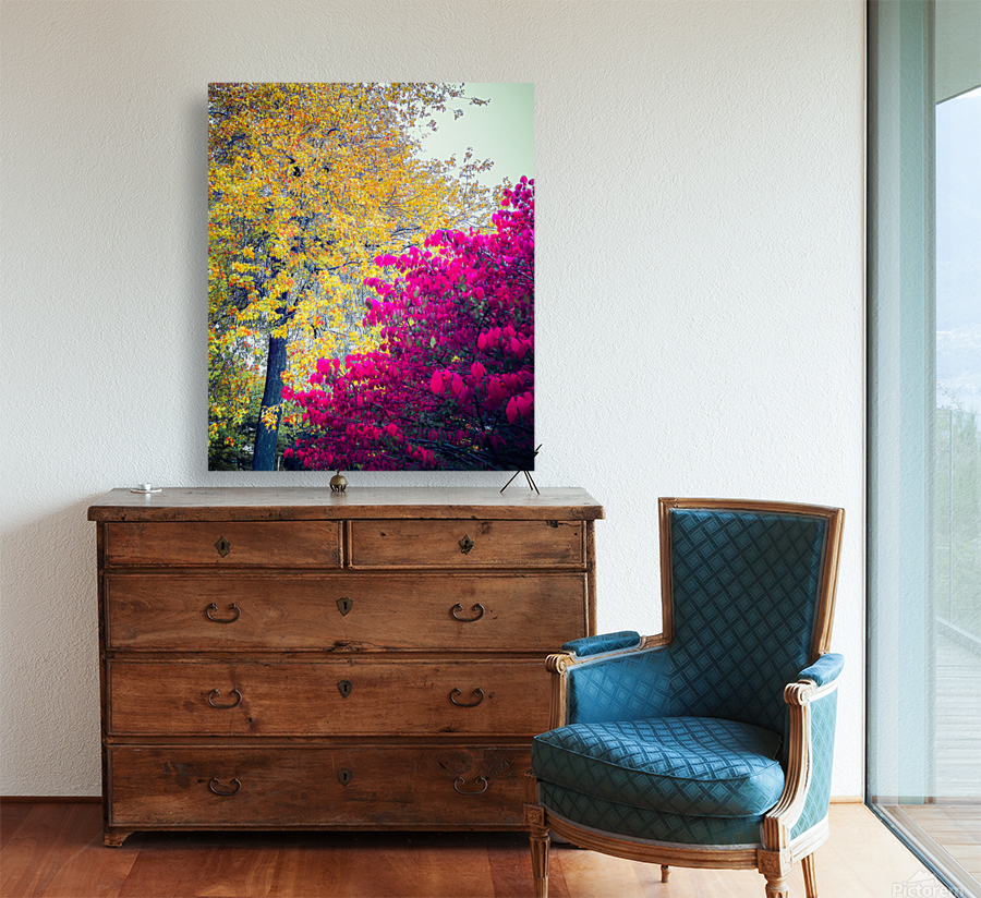 AUTUMN DREAM Reproduction