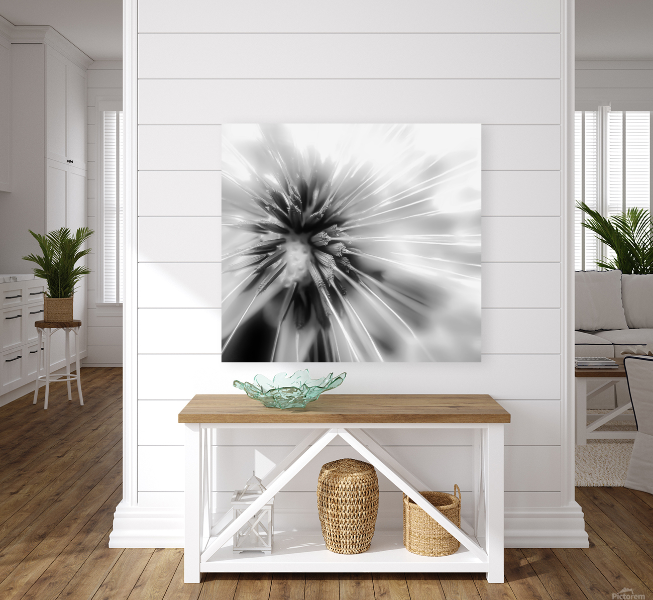 DANDELION Reproduction