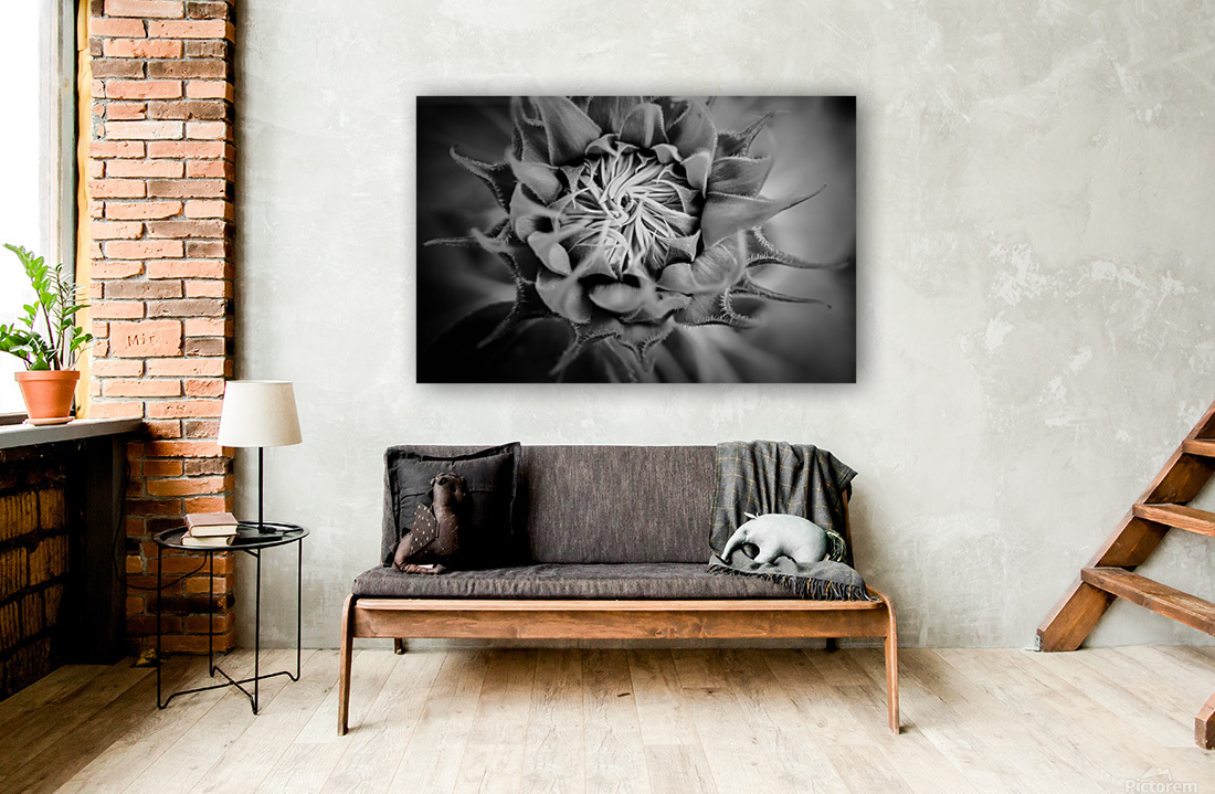 SUNFLOWER Reproduction