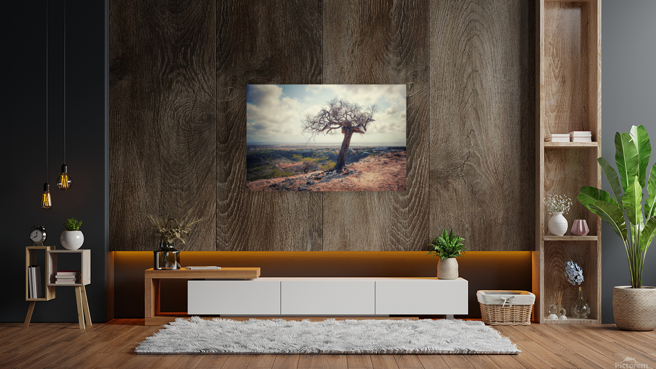 VISTA Reproduction