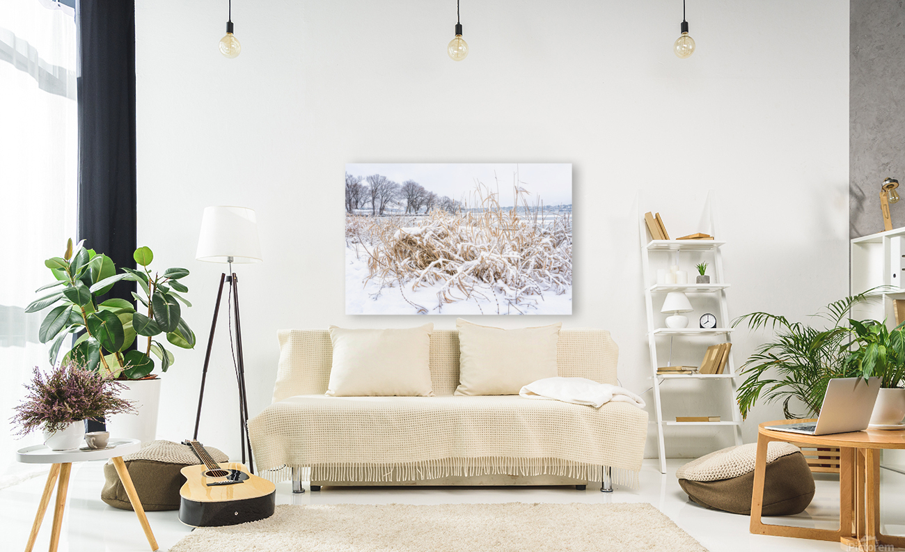  WINTER SCENE Reproduction