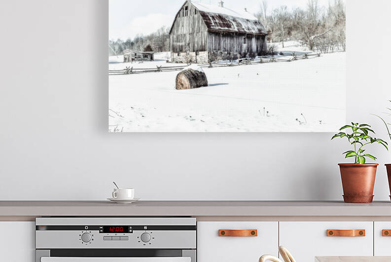 WINTER BARN Reproduction