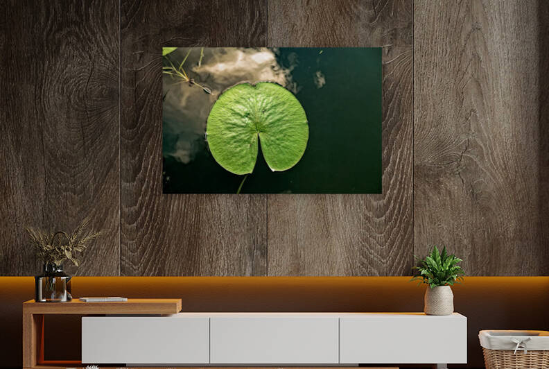 LILY PAD Reproduction