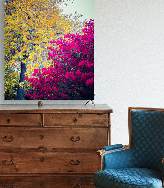 AUTUMN DREAM Reproduction