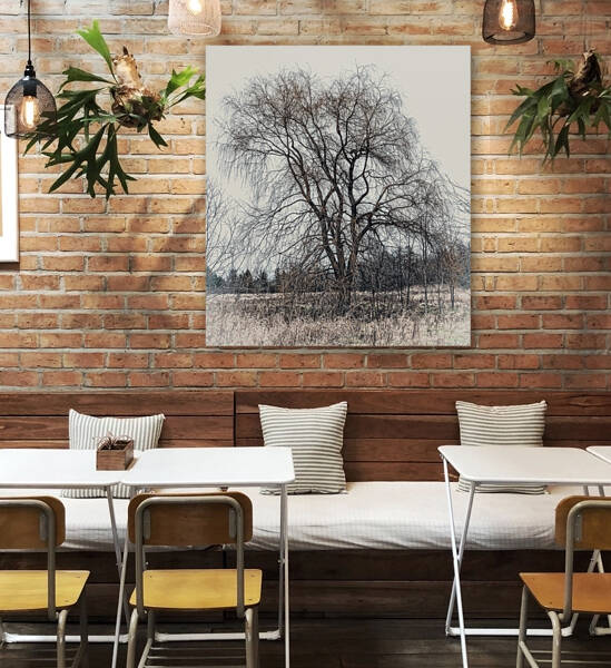LONE TREE Reproduction
