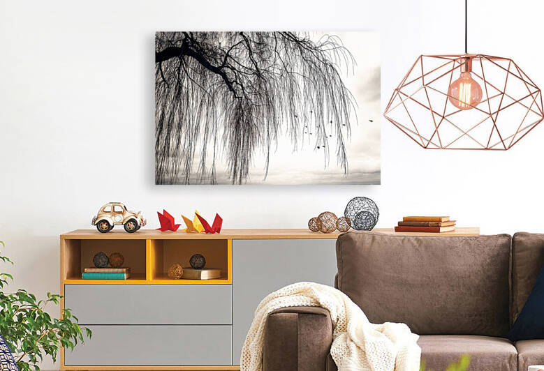 WEEPING WILLOW Reproduction