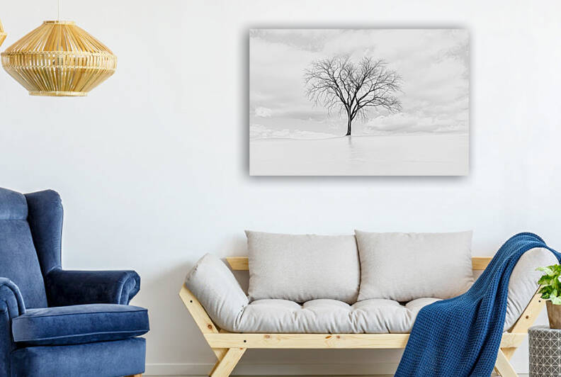  ICE TREE Reproduction