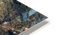 FRESH SHOW HD Metal print