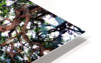 TANGLED HD Metal print