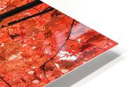 RED MAPLE HD Metal print