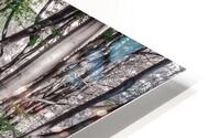 DANCING TREES I HD Metal print