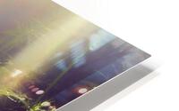 COSMO HD Metal print