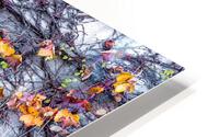 VINES & LIMESTONE HD Metal print