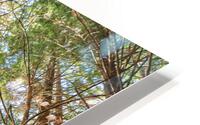 LOOKING UP HD Metal print