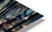 DANCING TREES III HD Metal print
