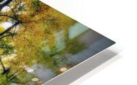 FALL COLOURS HD Metal print