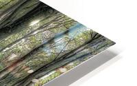 DANCING TREES II HD Metal print