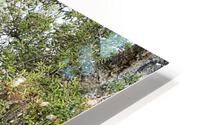 CORK OAK HD Metal print