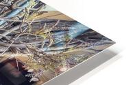 WISTERIA TREE HD Metal print