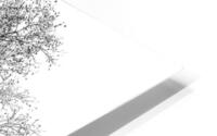  PROMISE TO SPRING HD Metal print
