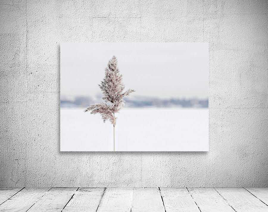 STANDING TALL Wall Preview