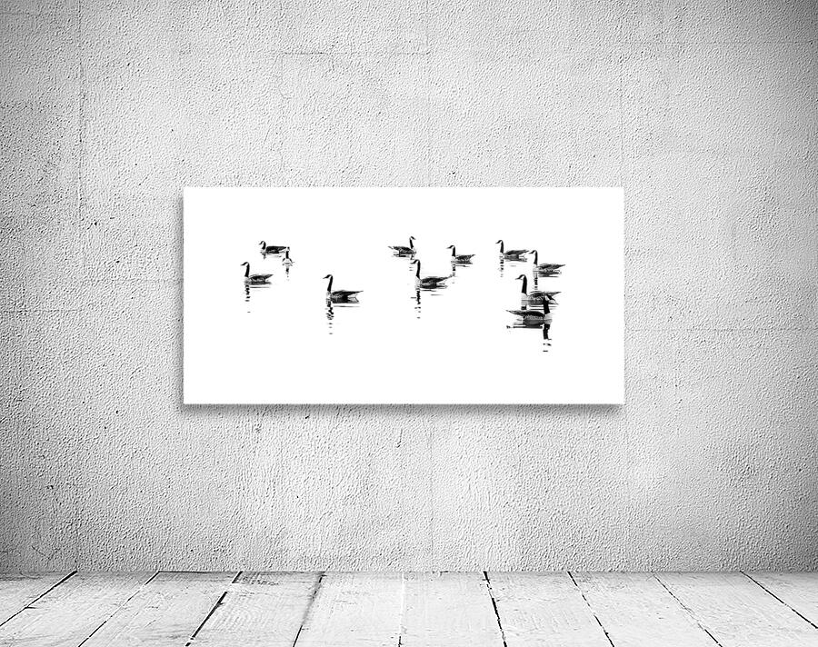 GEESE REFLECTIONS Wall Preview