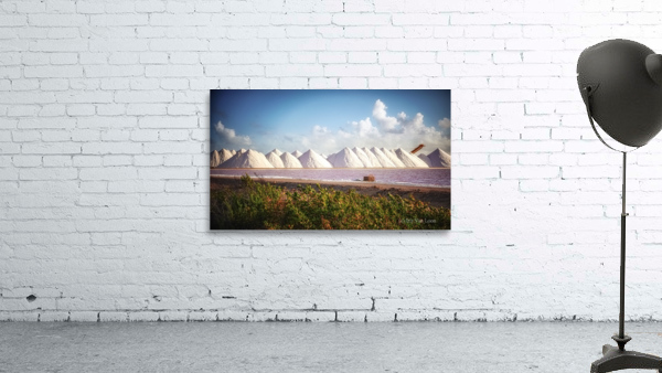 SALT LAKE Wall Preview