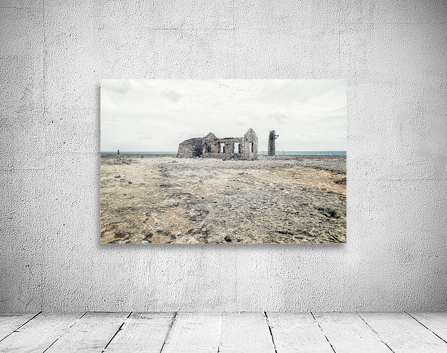 ABANDONED Wall Preview